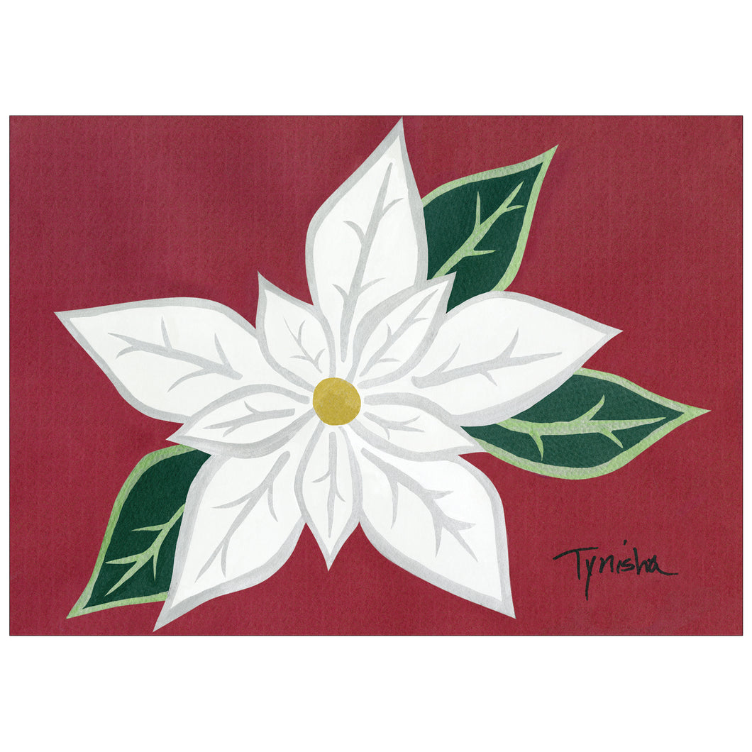 White Poinsettia (POD)