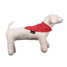 Strikethrough Pet Bandana