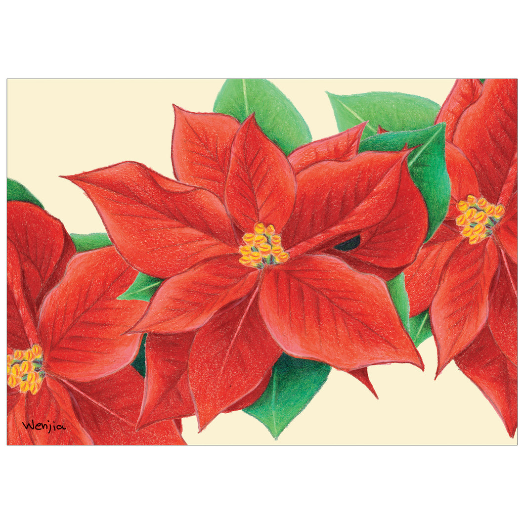 Poinsettia (POD)