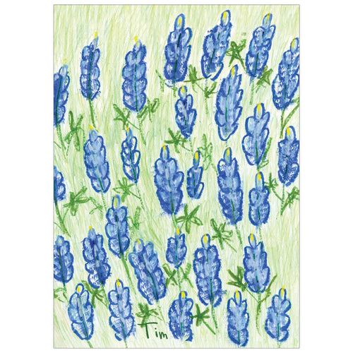 Blue Meadow 8 count