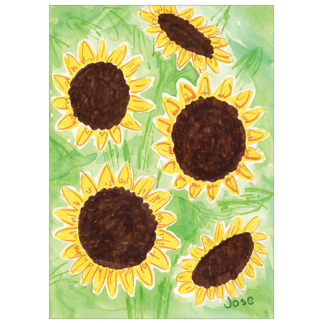 Field of Sunflowers (POD)